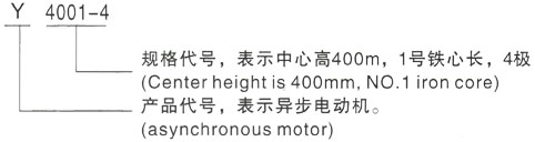 西安泰富西玛Y系列(H355-1000)高压YKK6302-8/1000KW三相异步电机型号说明